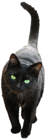 Whizzie at WhizzieKit